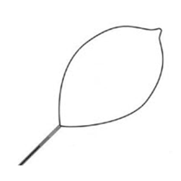 Snare Polypectomy Singular Firm Loop Wire Oval Large 10/Ca